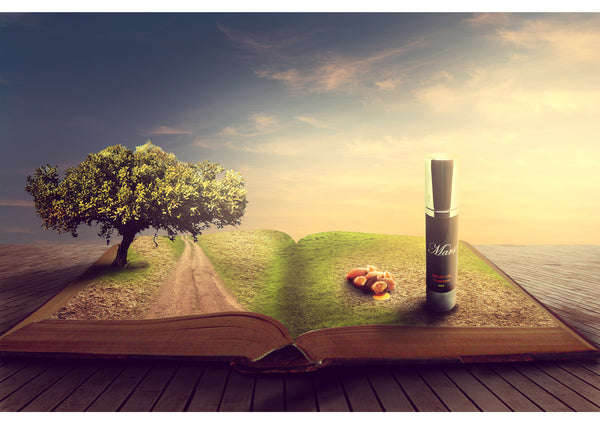 Argan Oil Treatment